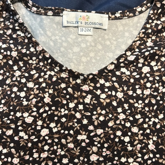 Set of 3 Baileys blossoms toddler girl dresses size 18-24 months - Picture 7 of 7